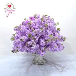 una despedida con glamour