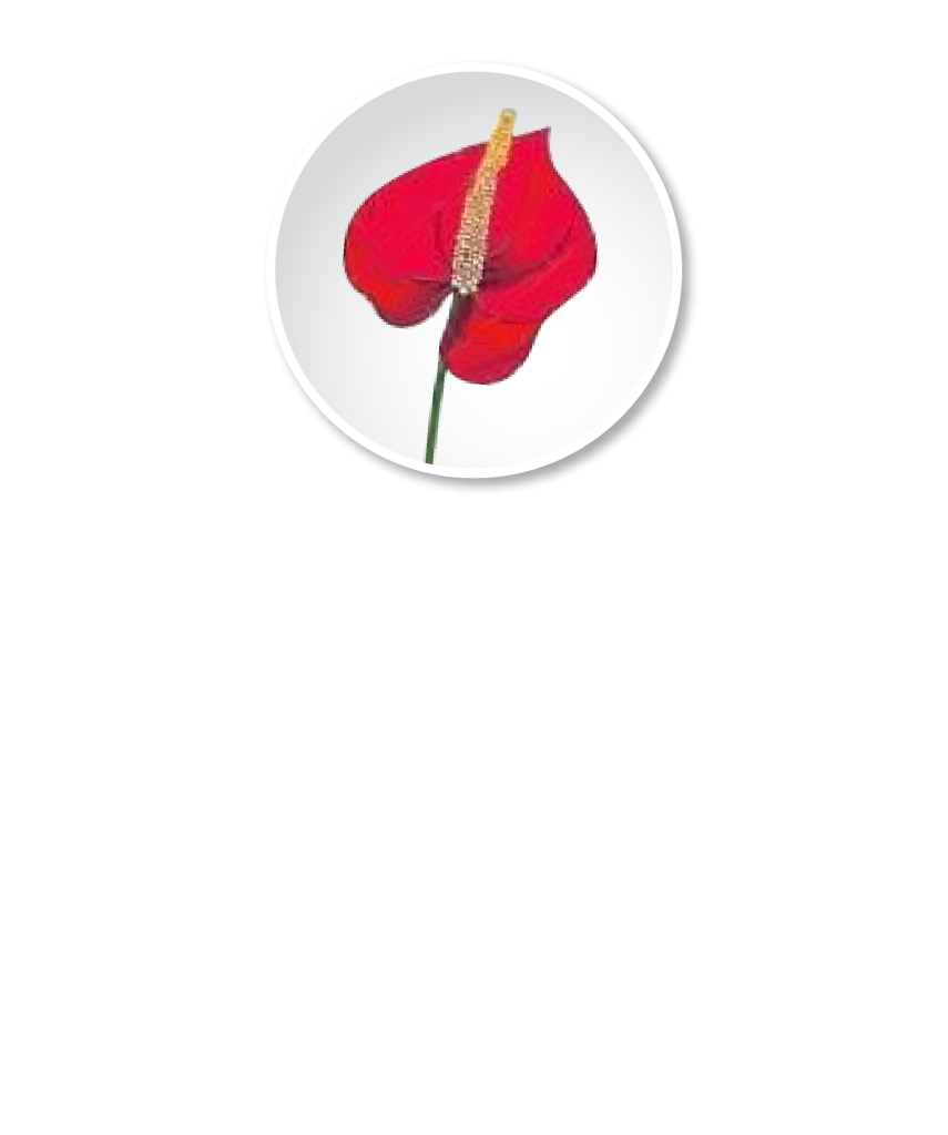 Logo JM floristeria